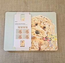 Placemats-Next Set of 4 Sage