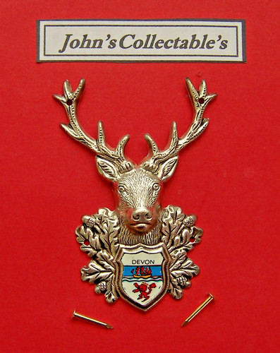 Devon stags head - head, walking