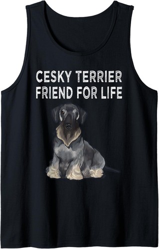 Cesky terrier friend - terrier,