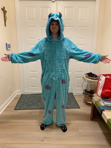 Disney pixar monsters sulley - pixar,