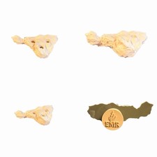 Magnetic 3d Printed Coral Frag