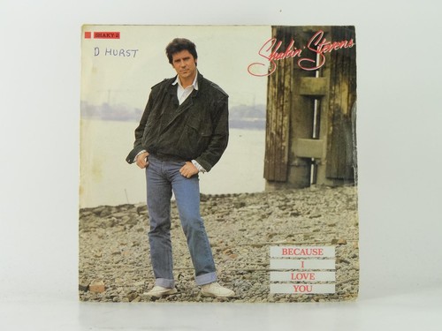 Shakin stevens because - shakin', love