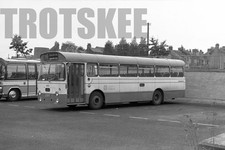 35mm Black and White Negative