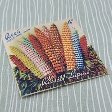 Vintage Bees’ Packet Of Seeds That Grow Russel Lupins 4d