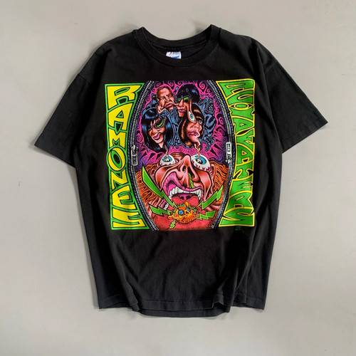 1990s ramones acid eaters - ramones,