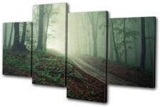 Landscapes Forest Road MULTI