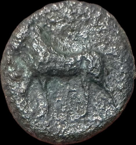 Salamis evagoras ca 361 351 - evagoras, .