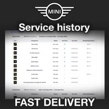 MINI service history records