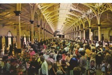 Devon postcard the - devon, market