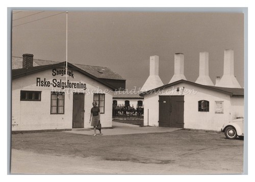 Snogebäk snogebæk - snogebäk,