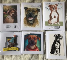 Staffordshire  Bull Terrier