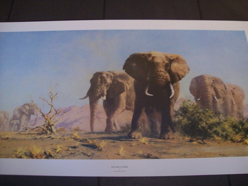 David shepherd elephant print - david,