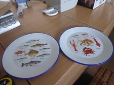 Brand New set 2 Enamel plates