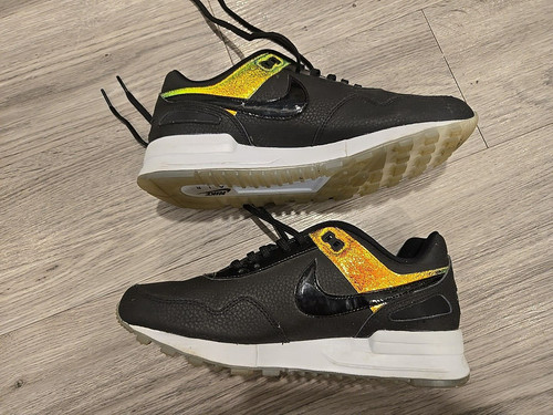 Nike shoe air pegasus - nike,