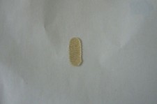 BRIDGE PARCHMENT/PROTECTOR