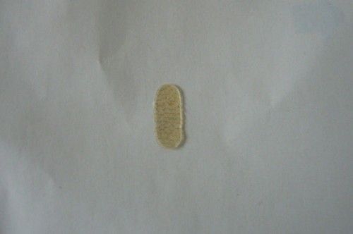 Bridge parchment protector - bridge, parchment/protector