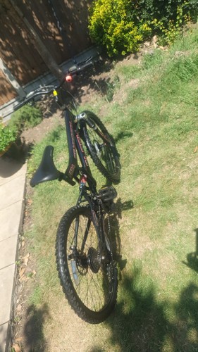 Silver fox mountain bike - mountain,