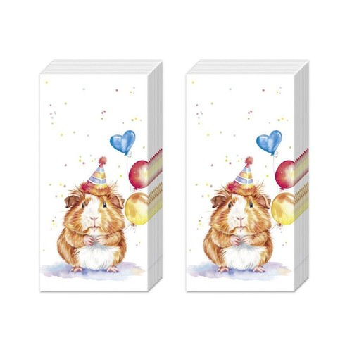 Birthday kalli guinea pig ihr - kalli,