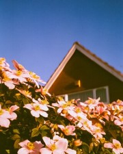 Boots 200 ISO 36 EXP 35mm