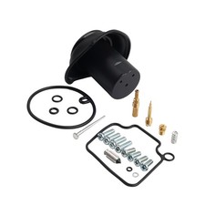 Carburetor Repair Rebuild Kit