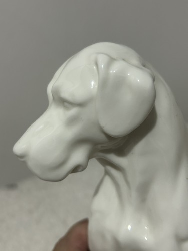 Vintage porcelain labrador dog - vintage,