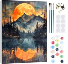 Paint by Numbers for Adults