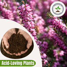 HEATHER COMPOST Ericaceous Potting Growing Compost for Acid-Loving Plants 3-25L