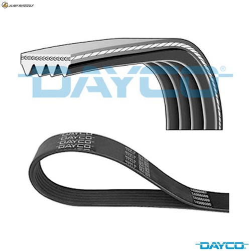 Ribbed belt 4pk788 - v-ribbed,