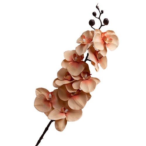 Elegant silk floral - silk,