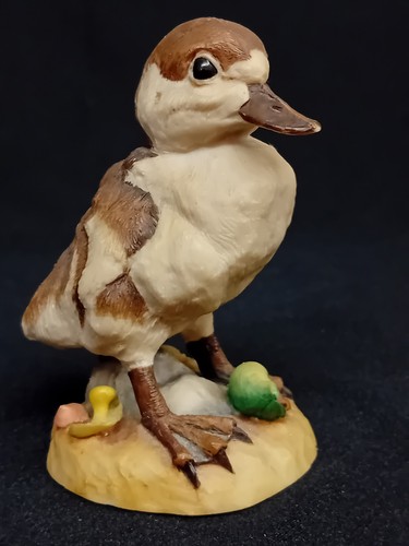 Teviotdale duckling - teviotdale, 'duckling'