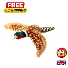 Small Dog Friendly Squeaky