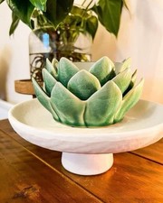 Scentsy Desert Bloom 🌿 Full