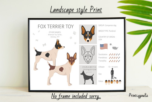 Fox terrier picture - terrier, a4