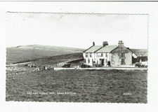 POSTCARD REAL PHOTO OF THE CAT