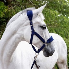 John Whitaker Club Headcollar
