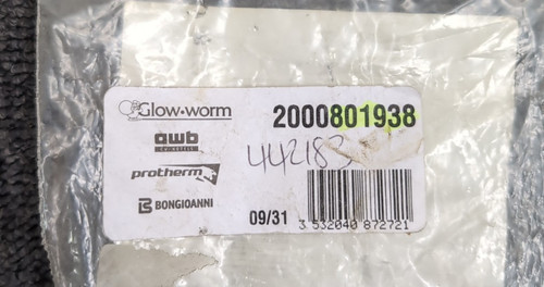 Glow worm domestic - glow-worm,