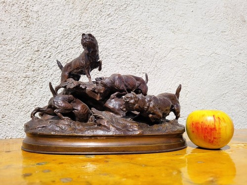Arson terrier hunting - terrier,