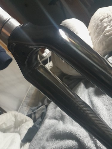 Hybrid custom carbon - , fork