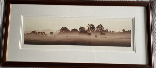 John waterhouse signed print - signed,