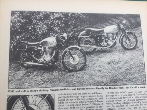 Bsa gold star dbd34 clubman - gold,