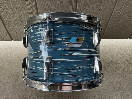 Ludwig blue oyster pearl - oyster,