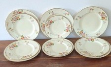 Vintage Alfred Meakin Plates