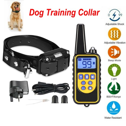 800m pet dog training collar - pet,