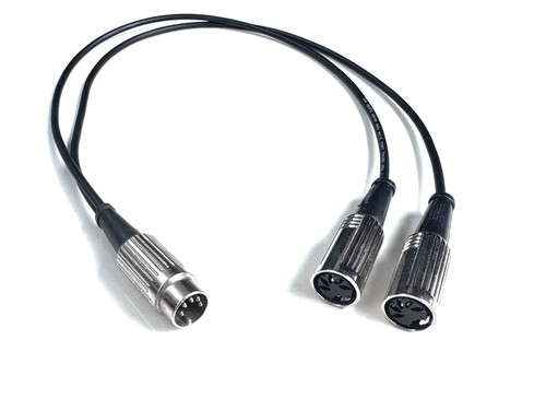 Meridian slave adapter - meridian,