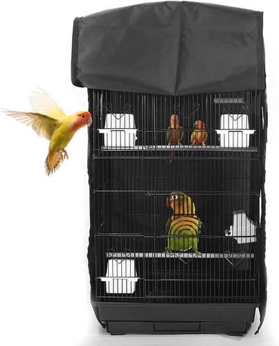 Asocea extra large - large, cage