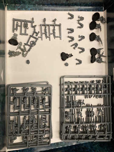 Astra militarum cadian - 15,