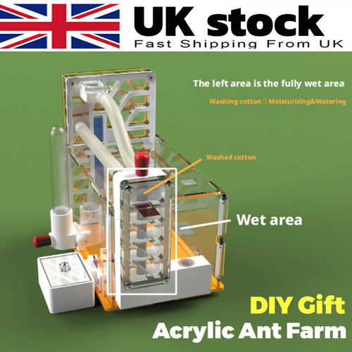 Acrylic ant nest - ant, formicarium