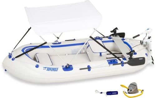 Sea eagle se9 fish - sea,
