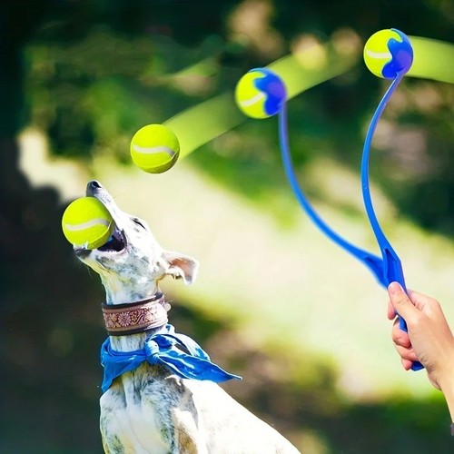 Pet dog tennis - tennis, launcher