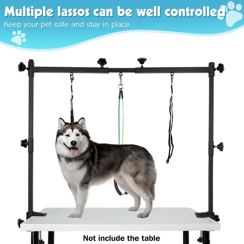 Dog pet grooming table - pet,